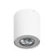 Spot aplicat tavan/plafon stil modern Neos 1 White/ALU
