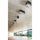 Plafoniere cu spoturi, Spoturi aplicate - Spot aplicat tavan/plafon stil modern Nino 2 White/Alu