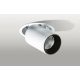 Spoturi tavan fals - Spot LED dimabil incastrabil, directionabil pentru tavan/plafon LUNA alb/negru