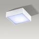 Plafoniere - Plafoniera LED design slim FALCO 12 4000K alba