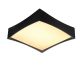 Lustre aplicate - Lustra LED dimabila design modern Veccio 50 neagra