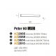 Iluminat pentru baie - Aplica LED pentru oglinda baie 3000K Peter 60 BK