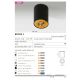 Plafoniere cu spoturi, Spoturi aplicate - Spot aplicat tavan/plafon stil modern Bross 1 BK/GO