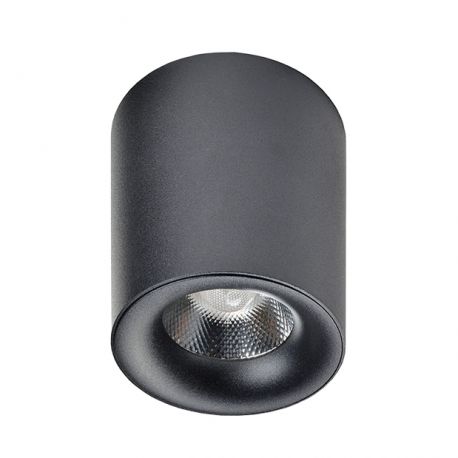 Plafoniere cu spoturi, Spoturi aplicate - Spot LED aplicat tavan/plafon MANE negru