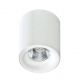 Plafoniere cu spoturi, Spoturi aplicate - Spot LED aplicat tavan/plafon MANE alb