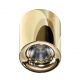 Plafoniere cu spoturi, Spoturi aplicate - Spot LED aplicat tavan/plafon MANE auriu