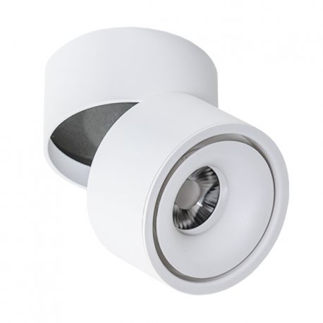 Plafoniere cu spoturi, Spoturi aplicate - Spot LED aplicat directionabil de tavan/plafon COSTA alb