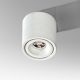 Plafoniere cu spoturi, Spoturi aplicate - Spot LED aplicat directionabil de tavan/plafon COSTA alb