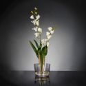 Aranjament floral elegant, design LUX ETERNITY ALFEO CYMBIDIUM