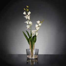 Aranjamente florale LUX - Aranjament floral elegant, design LUX ETERNITY ALFEO CYMBIDIUM