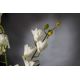 Aranjamente florale LUX - Aranjament floral elegant, design LUX ETERNITY ALFEO CYMBIDIUM