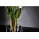Aranjamente florale LUX - Aranjament floral elegant, design LUX ETERNITY ALFEO CYMBIDIUM
