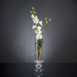 Aranjamente florale LUX - Aranjament floral elegant, design LUX ETERNITY DENDROBIUM ORCHID PLANT