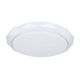 Plafoniere - Plafoniera LED cu telecomanda 50cm ANDI