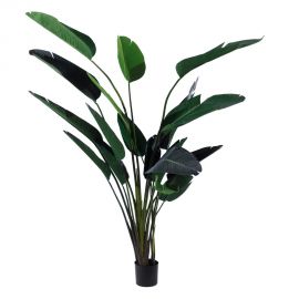 Ghivece - Planta artificiala decorativa Paradisul Verde, H-245cm