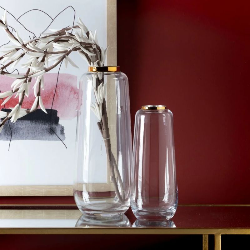 Addict Dismissal grain Vas decorativ, Vaza eleganta din sticla Vaze