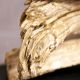 Veioze - Lampa design rustic Riverine bej