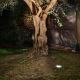 Spoturi - SPOT LED INCASTRABIL DE EXTERIOR SALT