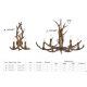 Candelabre, Lustre - Candelabru deosebit stil rustic Stag 6L