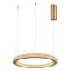Pendule, Lustre suspendate - Lustra LED dimabila, design modern FIORE, 40cm