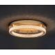 Lustre aplicate - Plafoniera LED dimabila, design modern FIORE, 40cm