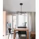 Candelabre, Lustre - Lustra LED design modern cu brate reglabile RACCIO negru