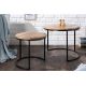 Masute Living - Set de 2 masute design industrial, Elements
