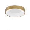 Plafoniera LED moderna 38cm RANDO THIN aurie