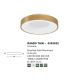 Plafoniere - Plafoniera LED moderna 38cm RANDO THIN aurie