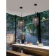 Pendule, Lustre suspendate - Lustra / Pendul design modern Athena II negru/fumuriu