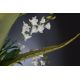 Aranjamente florale LUX - Aranjament floral mare design LUX ETERNITY BOWL ATHENA