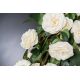 Aranjamente florale LUX - Aranjament floral mare design LUX PENELOPE COLUMN ROSES