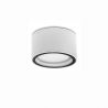 Spot aplicat de exterior IP54 FOCUS 10cm