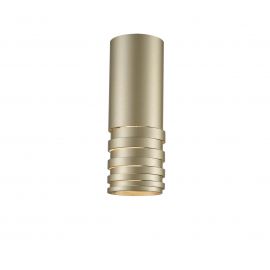 Plafoniere cu spoturi, Spoturi aplicate - Spot aplicat tavan/plafon design modern Locus Top champaigne