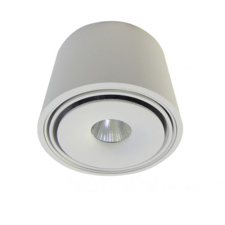 Plafoniere cu spoturi, Spoturi aplicate - Spot LED aplicat directionabil de tavan/plafon BOSTON TUBE alb