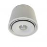 Spot LED aplicat directionabil de tavan/plafon BOSTON TUBE alb