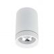 Plafoniere cu spoturi, Spoturi aplicate - Spot LED aplicat de tavan/plafon Bill alb