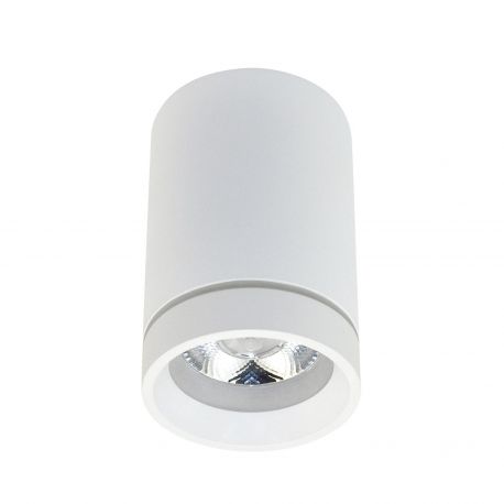 Plafoniere cu spoturi, Spoturi aplicate - Spot LED aplicat de tavan/plafon Bill alb