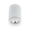 Spot LED aplicat de tavan/plafon Bill alb