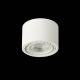 Plafoniere cu spoturi, Spoturi aplicate - Spot aplicat de tavan/plafon ECO ALIX NEW alb