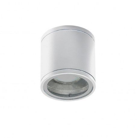 Spoturi - Spot aplicat iluminat exterior IP54 JOE TUBE alb