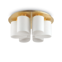 Lustra aplicata design modern DAISY PL6