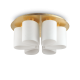 Lustre aplicate - Lustra aplicata design modern DAISY PL6