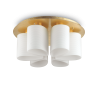 Lustra aplicata design modern DAISY PL6