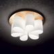 Lustre aplicate - Lustra aplicata design modern DAISY PL6