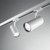 Spot LED directionabil pentru sina Link, FOX 08W CRI80 41° 3000K WH
