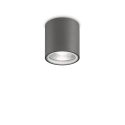 Spot aplicat IP44 GUN PL1 ANTRACITE