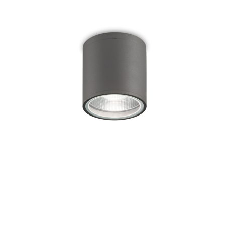 Spoturi - Spot aplicat IP44 GUN PL1 ANTRACITE