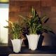 Ghivece - Ghiveci flori / Jardiniera plante de exterior / interior design modern premium PEZZETTINA PLANTER 50x50x50
