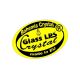 Lustre Cristal Bohemia - Lustra 10 brate cristal Bohemia
